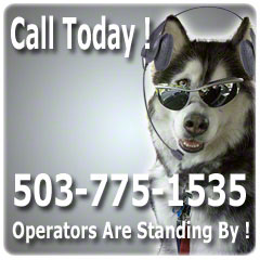 Call PDX Today 503-775-1535